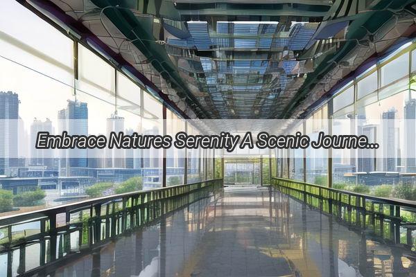 Embrace Natures Serenity A Scenic Journey Along the Riverfront in Huadu Guangzhou